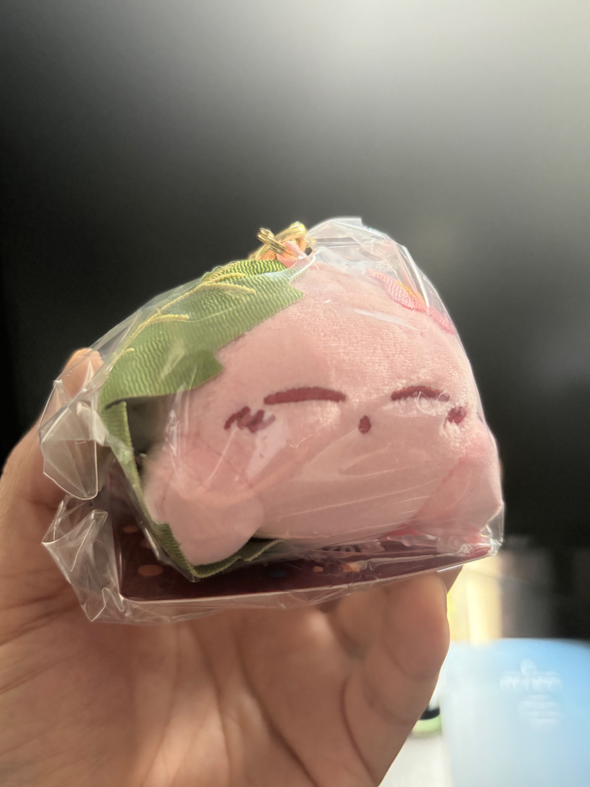 新しい仲間